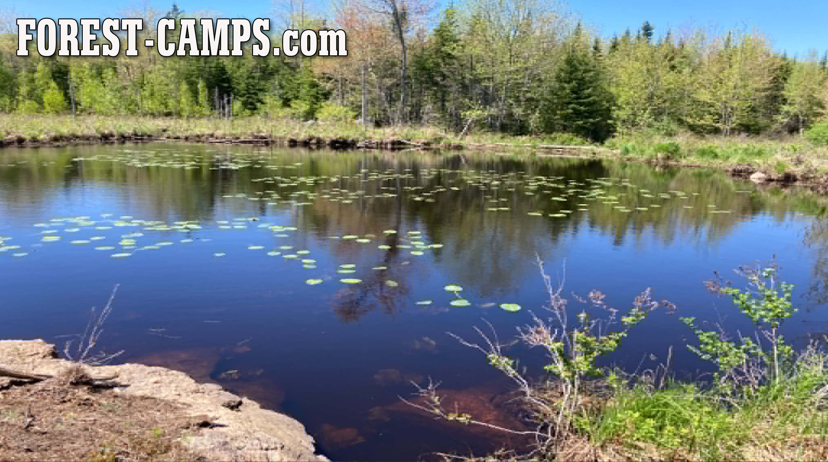 Tent camping in Ellsworth near Acadia National Park