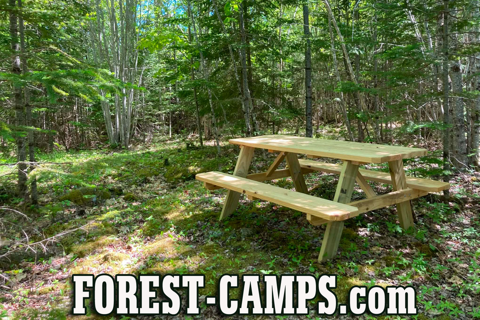 Family Camping in a Forest Setting, Ellsworth Maine near Acadia National Park